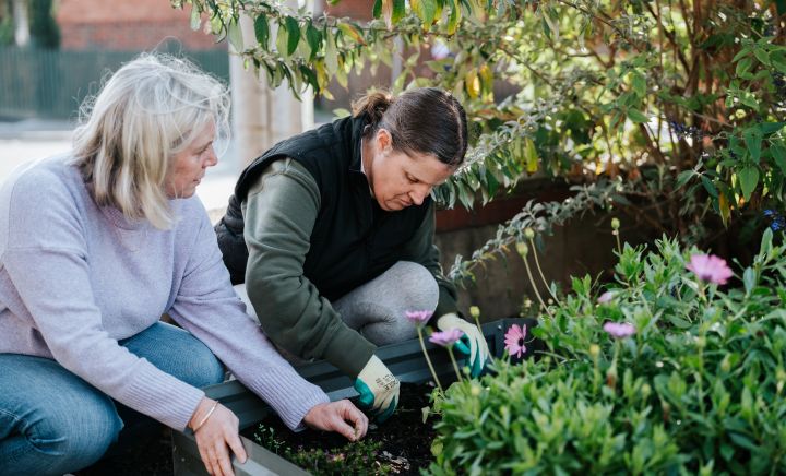 Aspect Community Garden 44