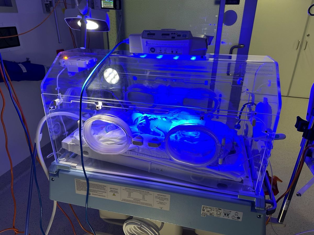 NICU kim