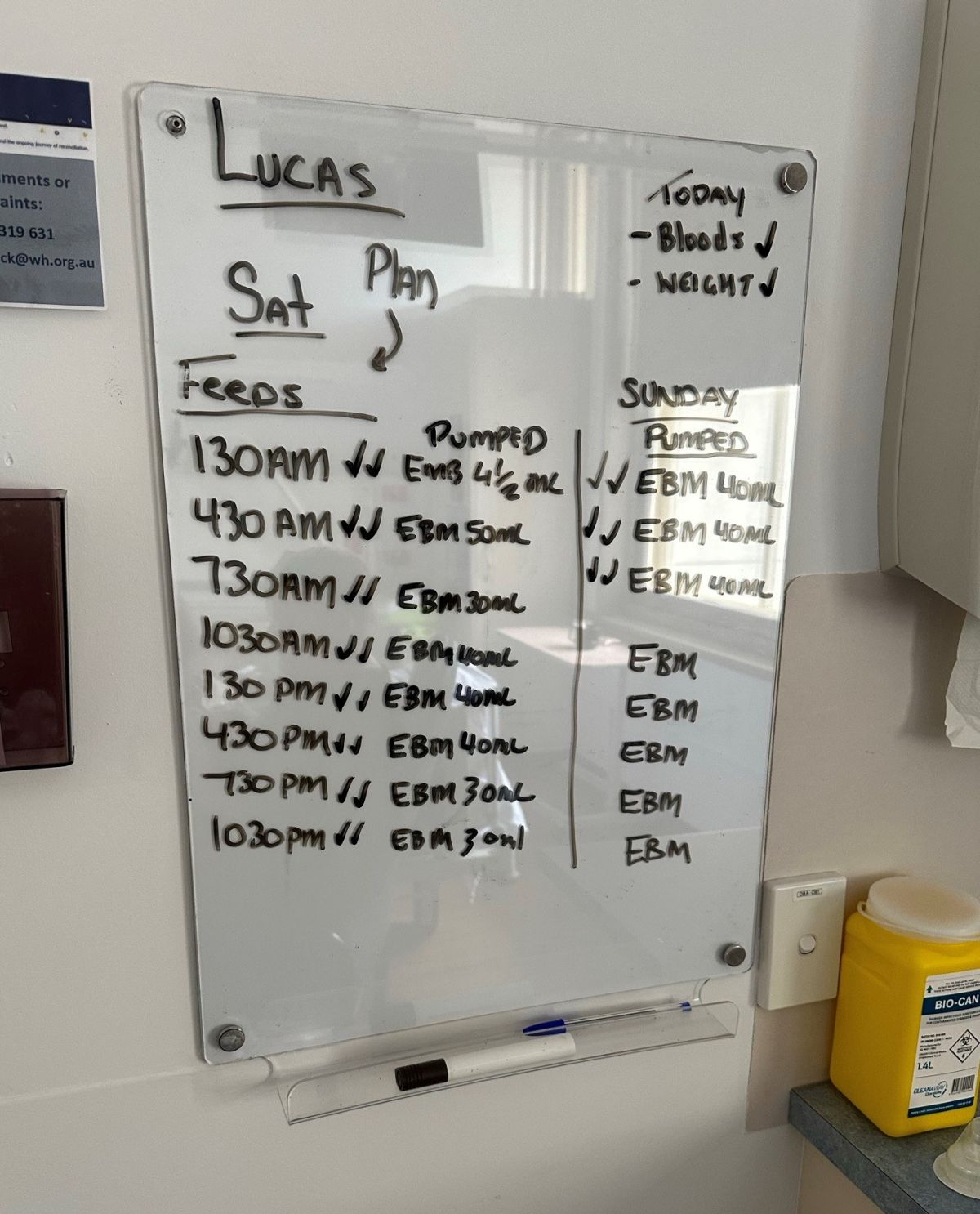 Feeding plan kim