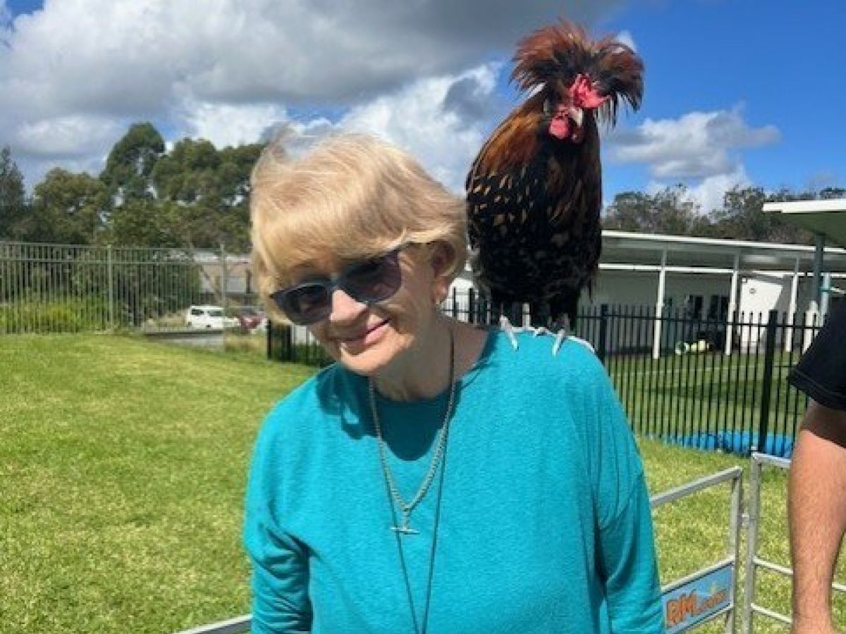 Lynne 4 rev