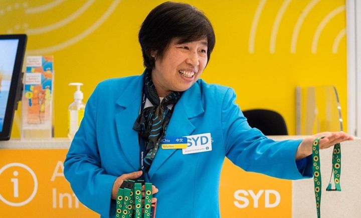 Sydney airport sunflower1