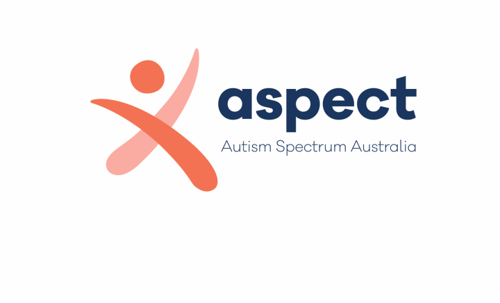Aspectlogo web