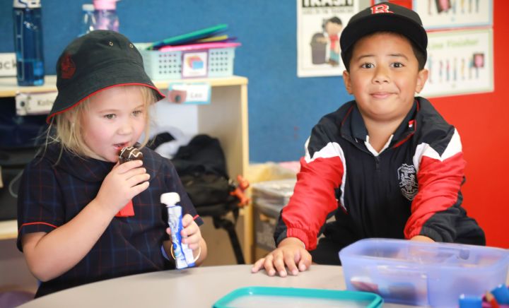 Aspect Macarthur - AIRDS