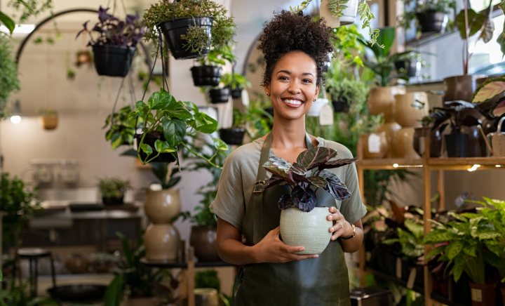 Plant shop