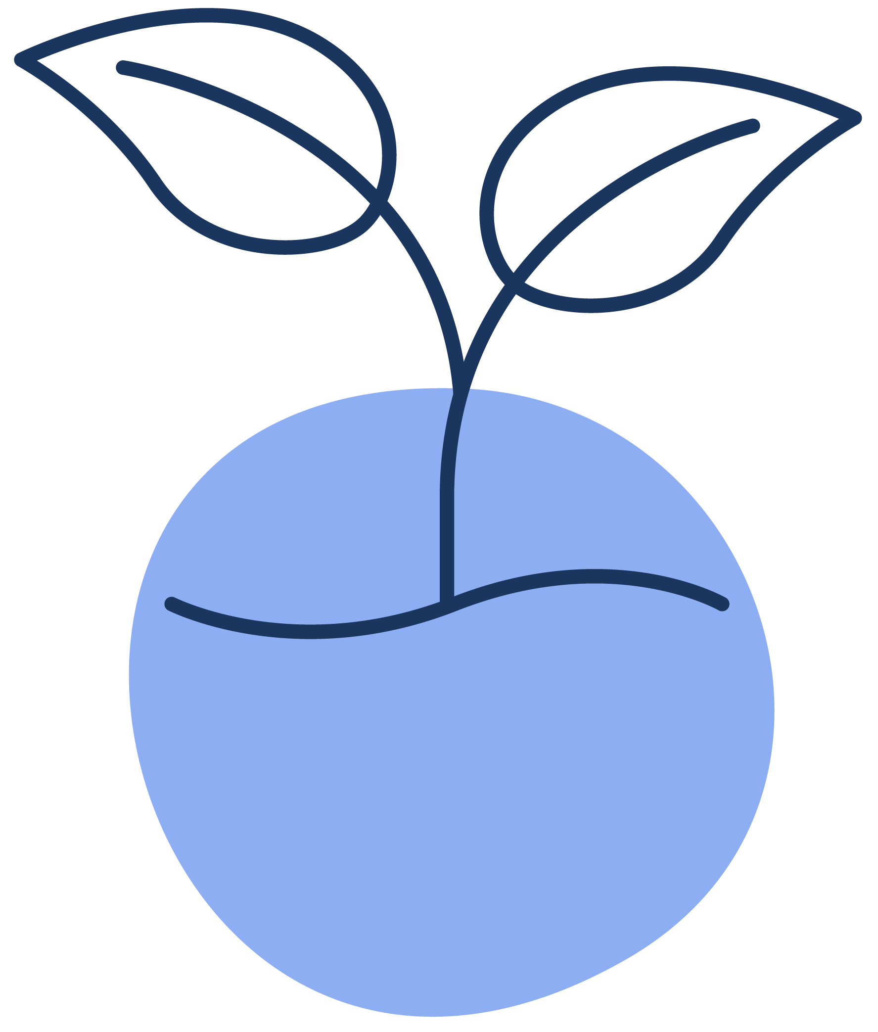 icon for Stage 5: Grow and partner